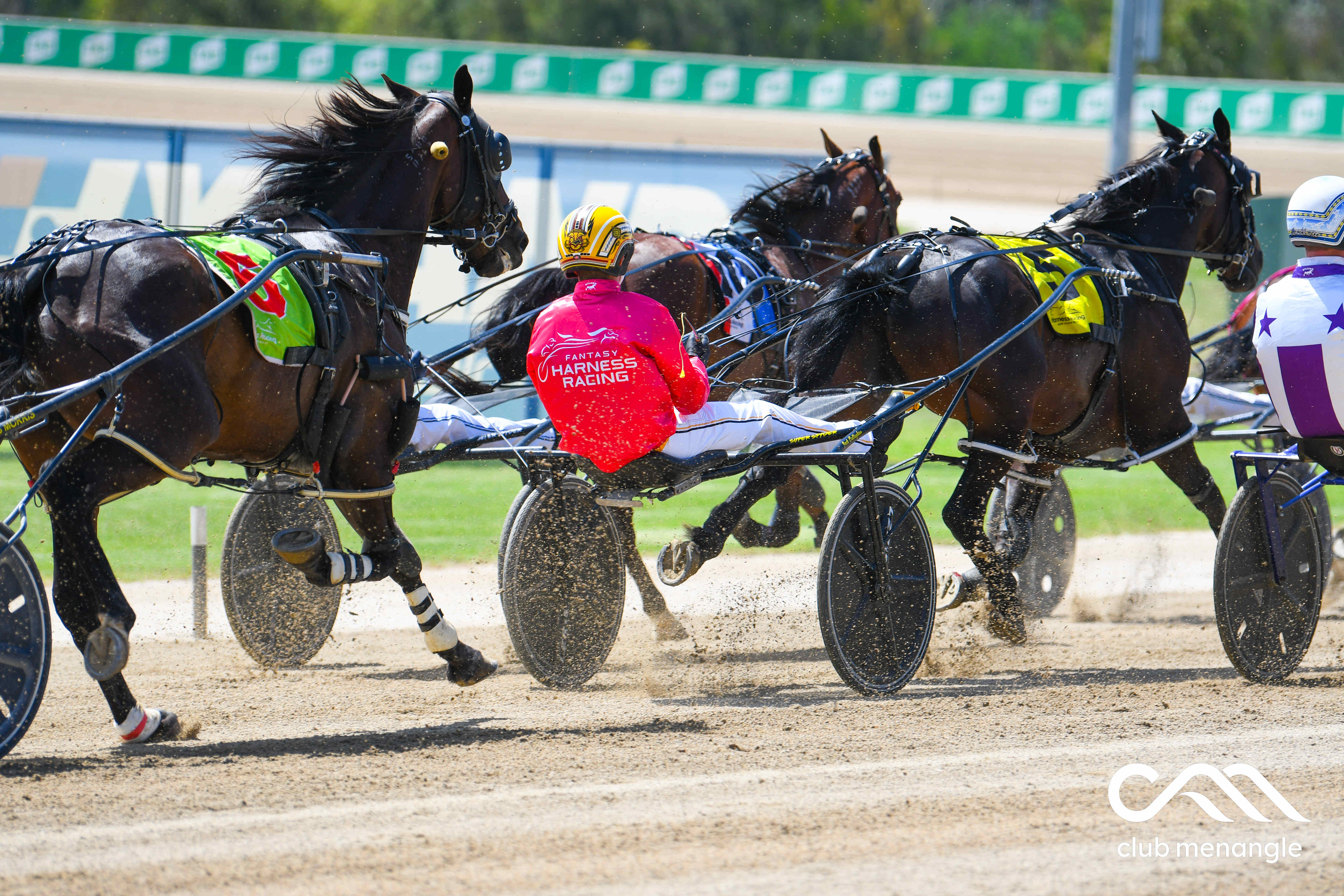 NSW Hosts Blockbuster Fantasy Harness Racing Scoring Schedule